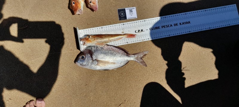 Fish Measure Picture